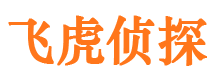 榕江市婚姻调查